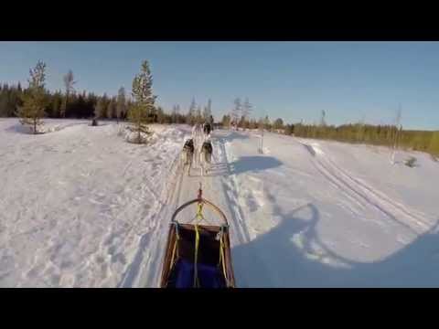 Burning Snow, Tour in den Reivo