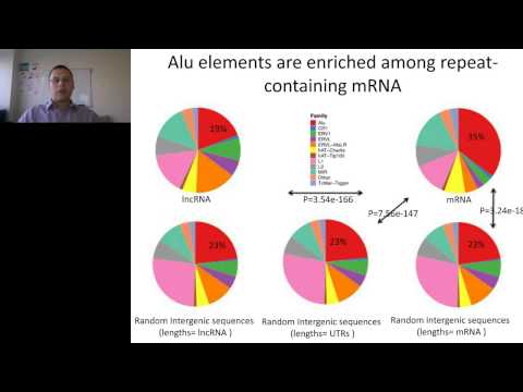 Daniel Caffrey - Evolution of Alu elements in long non coding RNA and mRNA