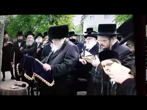 Belzer Rebbe Davening At Belzer Kevarim In Ukraine