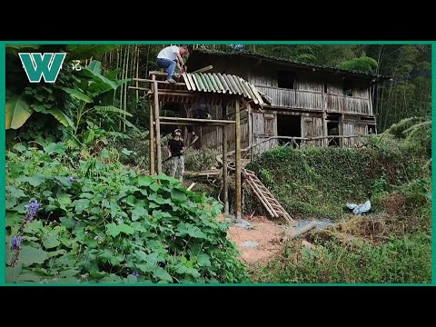 small renovation of old house, fence, gate made of bamboo | workers HD