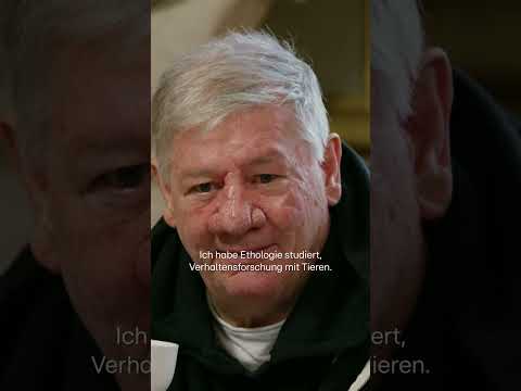 Claude alias "Lucky Luke" 🤭 #DieVerräter #RTL