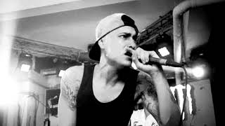 Alemán perro Callejero