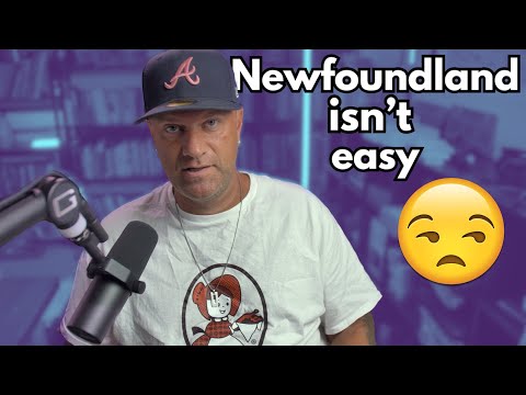 7 Reasons You Might Not Love Living in Newfoundland