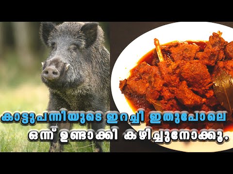 കാട്ടുപന്നിയുടെ ഇറച്ചി   ഇതുപോലെ ഒന്ന് ഉണ്ടാക്കി കഴിച്ചുനോക്കൂ. How to make Cinghiale in Umido