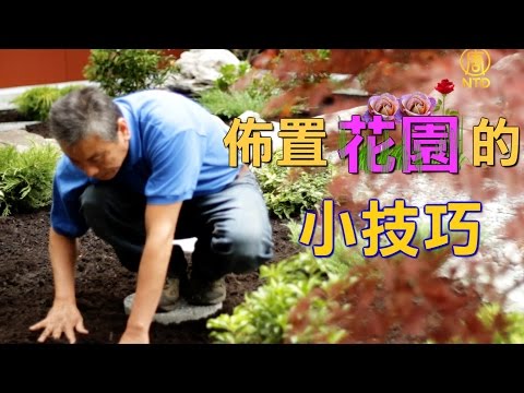 《幸福有家》 回归自然的－－ ★ 园艺设计师 ★