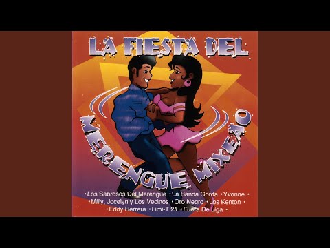 Si No Te Hubieras Ido