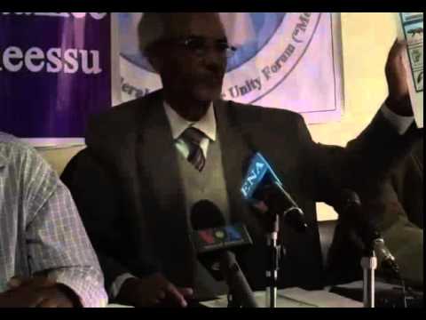 VOA Amharic Oposition Party Medrek Speaks about The Election Process