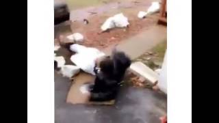 Comedy Man falls on ice and still remains fresh to death