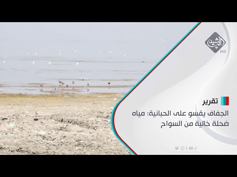 شاهد بالفيديو.. الجفاف يقسو على الحبانية: مياه ضحلة خالية من السواح