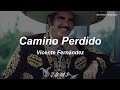Vicente Fernández - Camino Perdido (Letra / Lyrics)