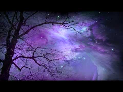 Skyforest - Inexistence