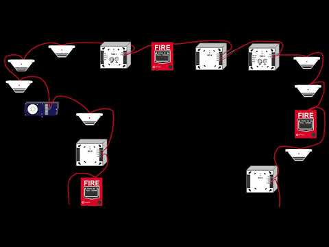 5 Story Building - Backbone of the SLC