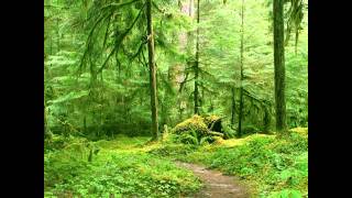 Cecilia Vennersten - Skogens Ra (HD).mp4