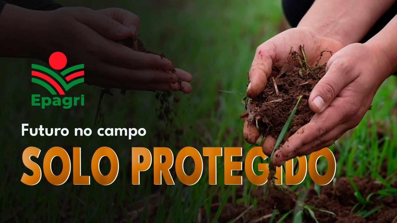 Práticas de conservação do solo com a juventude rural