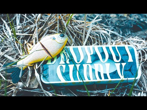 This GILL SWIMBAIT is crazy