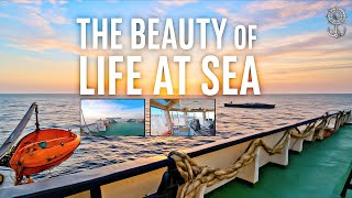 Download lagu The Beauty of Life at Sea 🌊 | Peaceful Ocean Views 🌴⚓️ | Relaxing Ship Journey 🚢✨ mp3 Download lagu The Beauty of Life at Sea 🌊 | Peaceful Ocean Views 🌴⚓️ | Relaxing Ship Journey 🚢✨ mp3