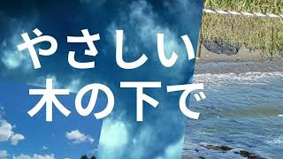やさしい木の下で　　オコト　オリジナル曲　ギター弾き語り