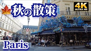 そろそろパリに来ませんか？秋🍁のパリ🇫🇷をゆっくり散策✨パリには行列がいっぱい❗️