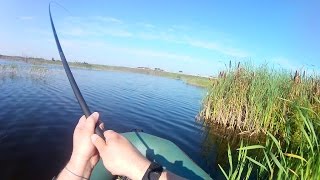 Ловля карася на удочку в августе