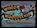 Woody Woodpecker Careless Caretaker