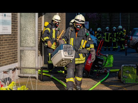 Feuerwehr rettet Bewohner von Balkon und Katzen aus Wohnung - FEUER 2Y in Köln-Neubrück | 20.04.2021