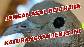 Download lagu 🔴 MITOS TUAH PERKUTUT KATURANGGAN WISNU MURTI YANG SEBENARNYA ‼️ mp3 Download lagu 🔴 MITOS TUAH PERKUTUT KATURANGGAN WISNU MURTI YANG SEBENARNYA ‼️ mp3