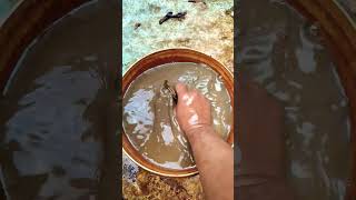 Download lagu A Heart Still Waiting #shorts #feedshorts #subscribe mp3 Download lagu A Heart Still Waiting #shorts #feedshorts #subscribe mp3