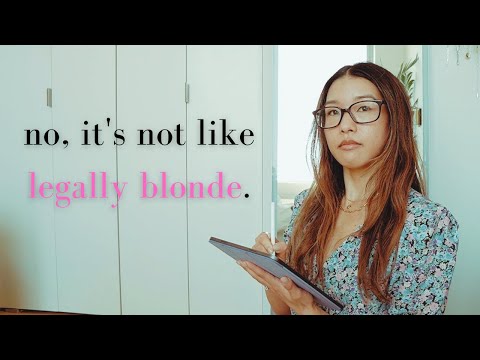 what the hell do lawyers do, anyway? pt 1: litigation