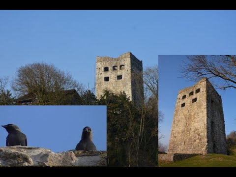 Burgruine Blatten/Schloss Blatten, Oberriet, SG/CH
