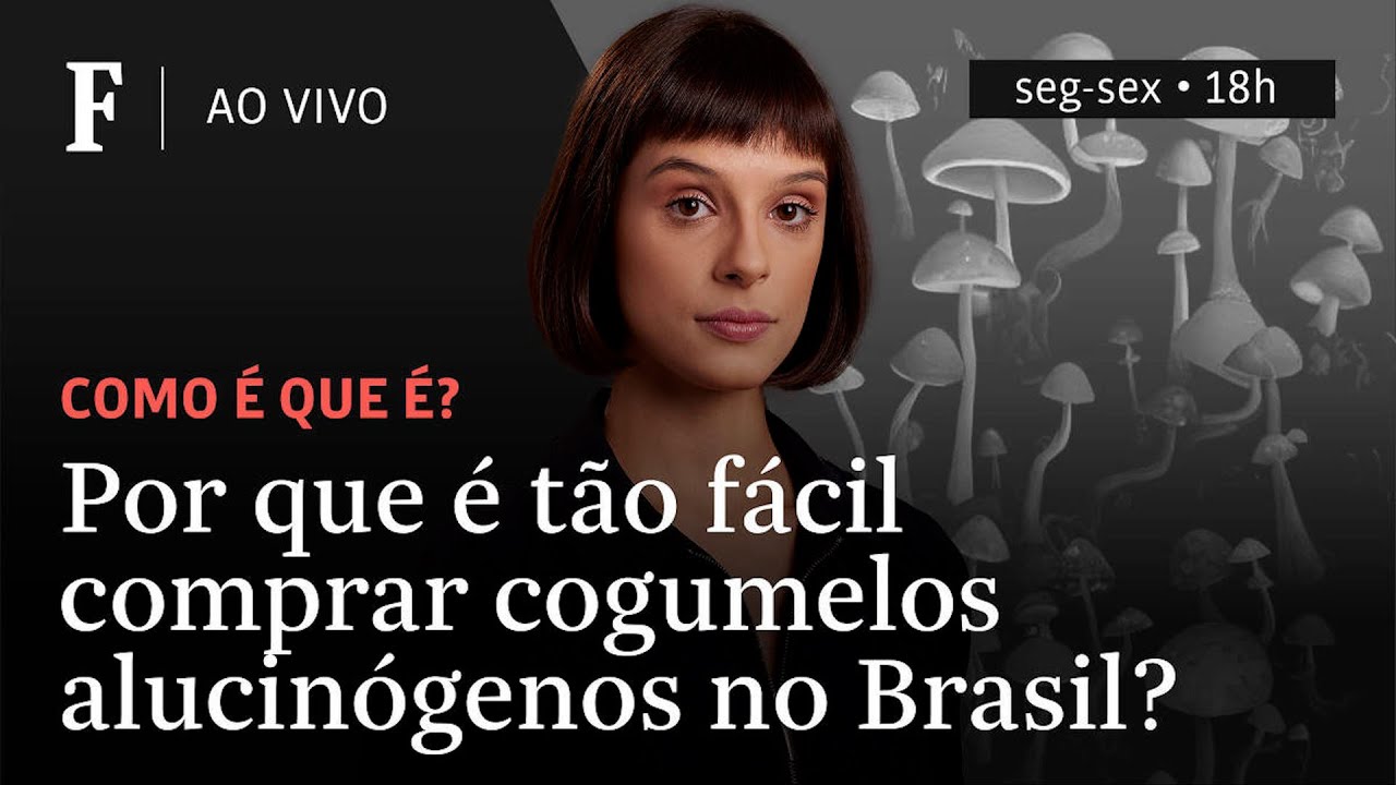 Como é que é? | Por que é tão fácil comprar cogumelos alucinógenos no Brasil?