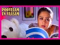 Poovellam Un Vasam Tamil Movie Jyothika Misses Ajith Ajith Kumar Jyothika Vivek