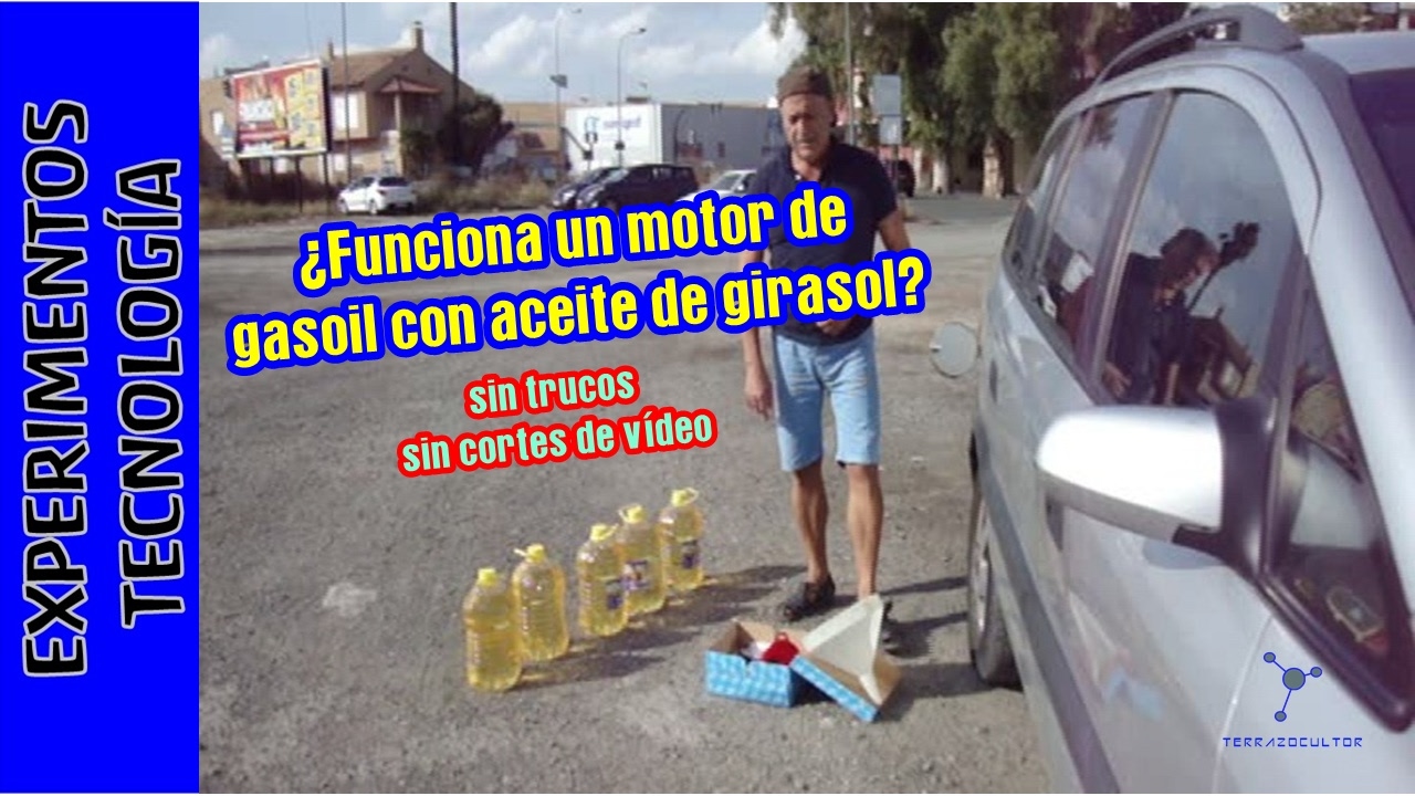 Ahorra repostando con ACEITE DE GIRASOL en tu coche diesel
