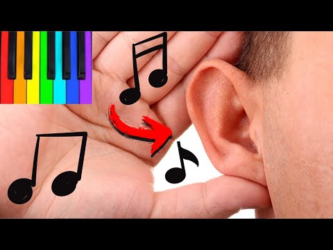 Notas Musicais Em Cores - Escala de Dó (C) - Treinamento Auditivo/Percepção Ouvido Musical Absoluto