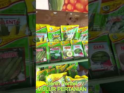 Aneka Macam Produk dari Benih Pertiwi #cvmuluragropreneur #udmulurpertanian