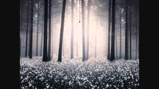 Ariadne Sleeping - The Clientele