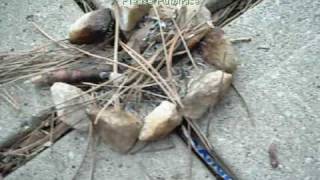 Nothin Like A Sunny Day