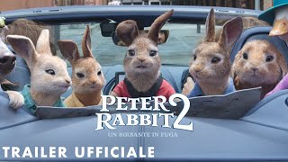Peter Rabbit 2: Un birbante in fuga - Trailer Ufficiale | Dal 1° Luglio al Cinema