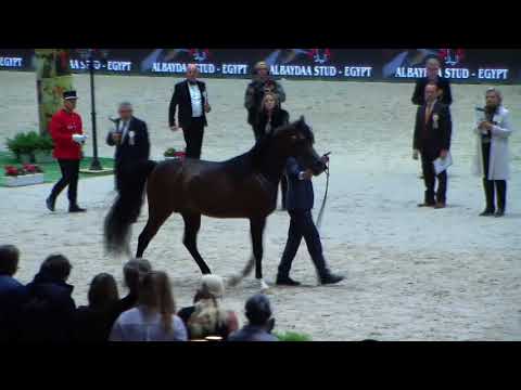 Memories of Paris 2017 - Part 1 - Equator