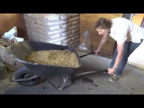 YouTube video about: How to use pelleted horse bedding?