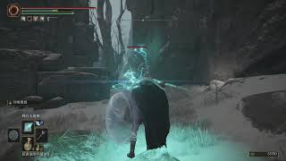 [法環] 這蜻蜓是讀指令或獵犬步伐? 水鳥亂舞?