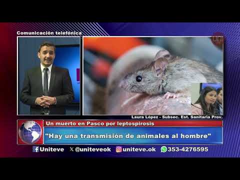 Un muerto en Pasco por leptospirosis