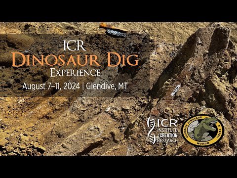 ICR Dinosaur Dig Experience in Glendive, Montana!