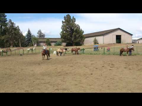 Charlie in Les Vogt Clinic