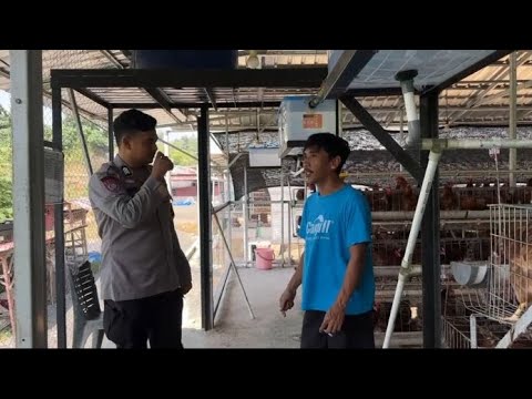 BHABINKAMTIBMAS POLRES MAMUJU GEKAR PEMBINAAN  KETAHANAN PANGAN