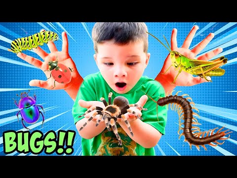 BUG HUNTS with CALEB **OVER 1 HOUR of BUGS and FROGS for KIDS**