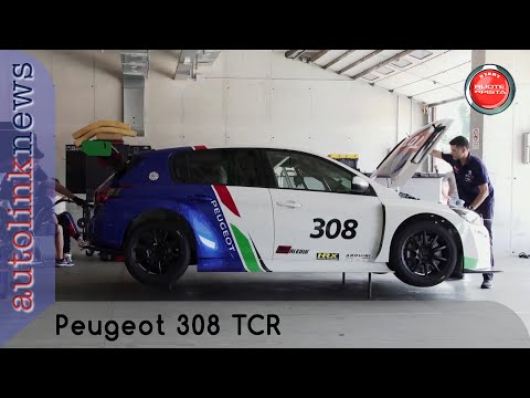 Peugeot 308 TCR | le News di Autolink