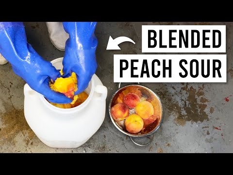 How To Brew BLENDED FRUIT SOUR BEER