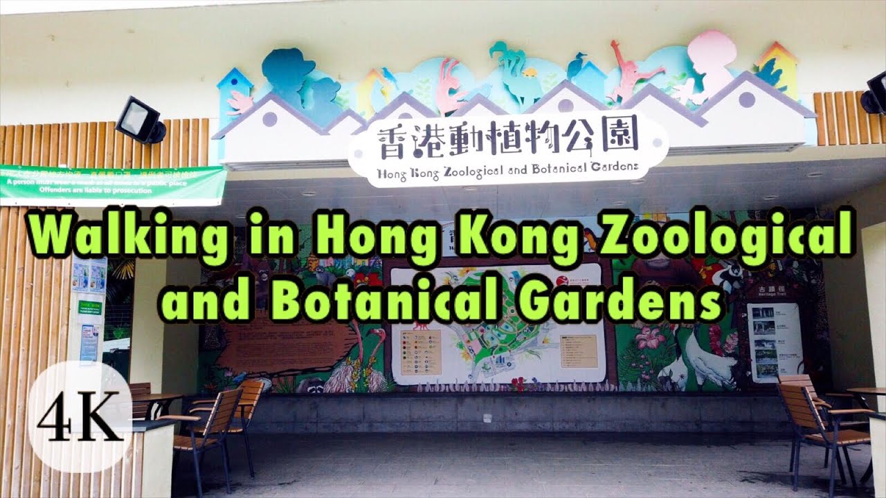 Walk with us inside Hong Kong Zoological & Botanical Gardens – see animals and flowers up close