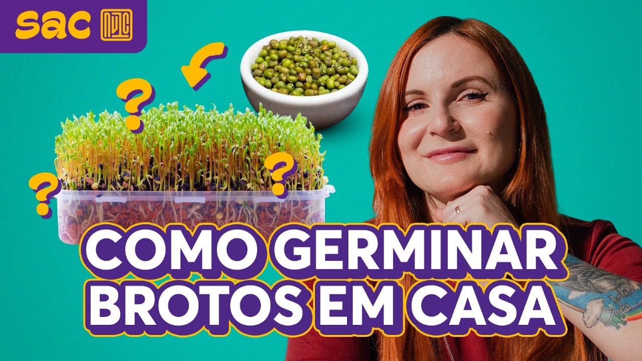 Como germinar brotos em casa - passo a passo