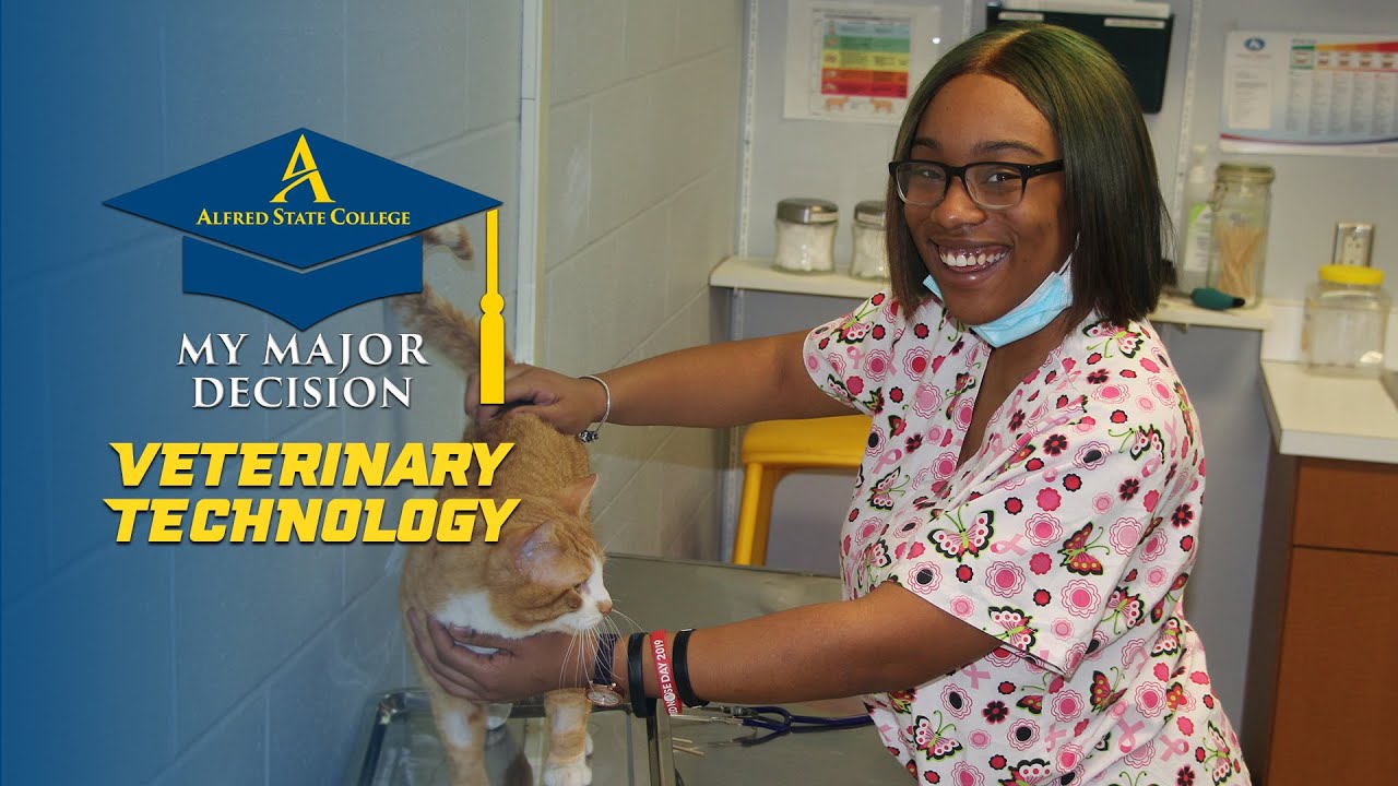 Video preview thumbnail